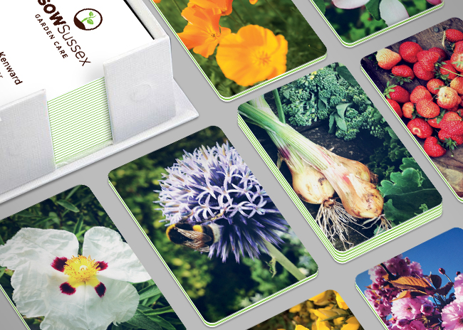SOW Sussex – Branding