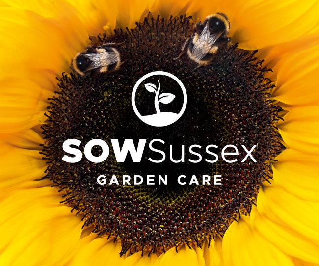 SOW Sussex – Branding